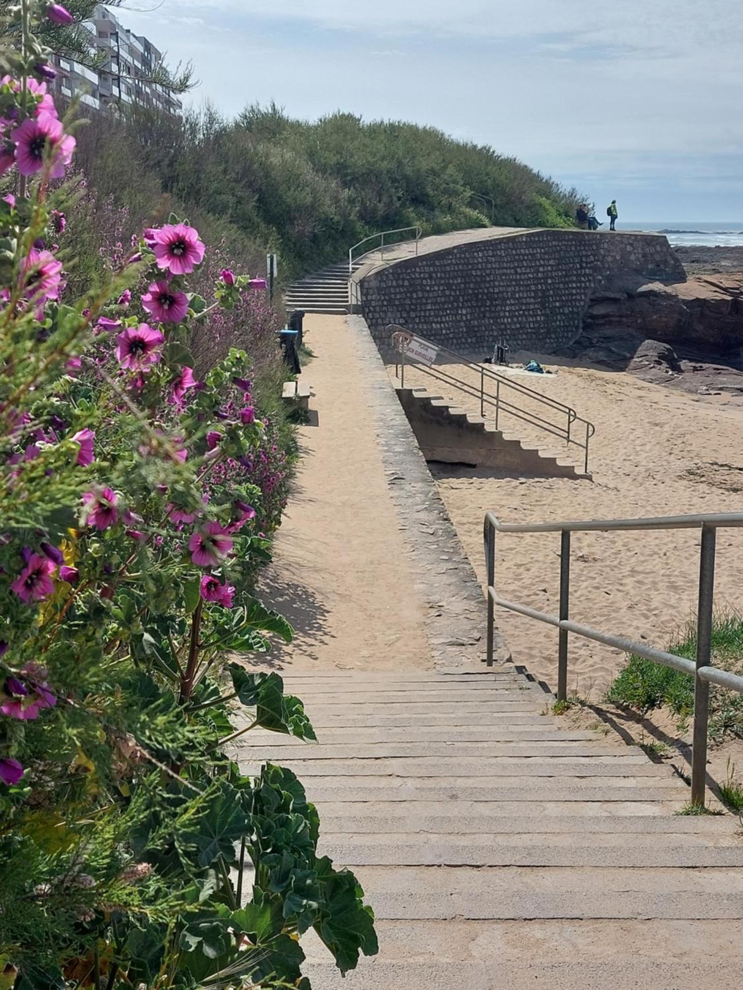 Studio La Salicorne Au Sables D'Olonne Les Sables-d'Olonne Ngoại thất bức ảnh