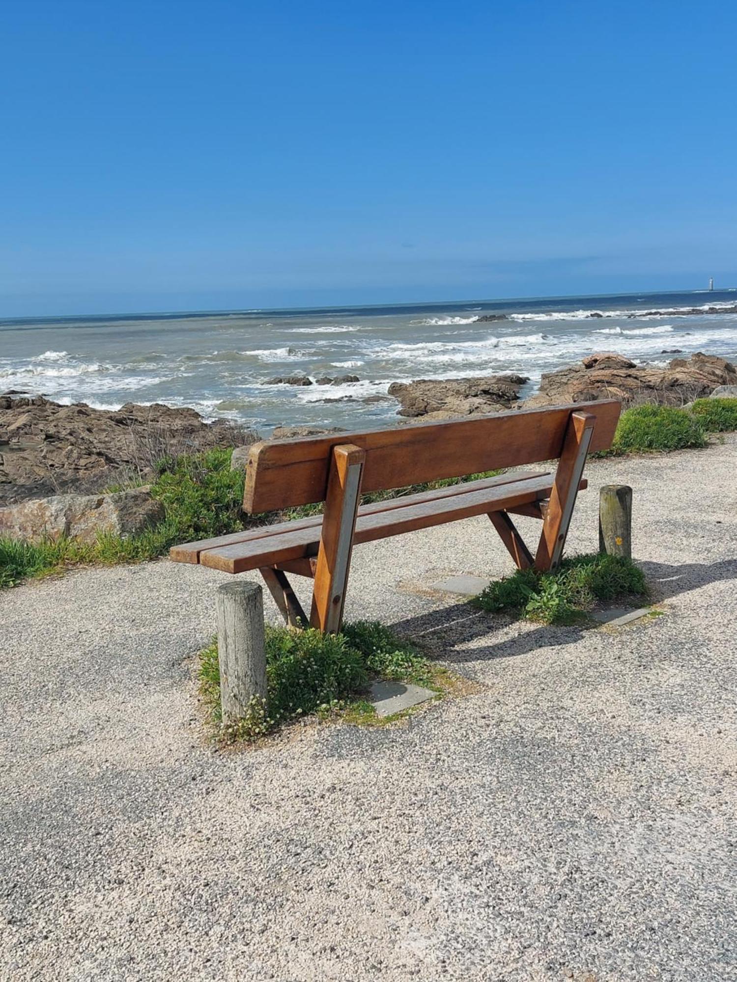 Studio La Salicorne Au Sables D'Olonne Les Sables-d'Olonne Ngoại thất bức ảnh
